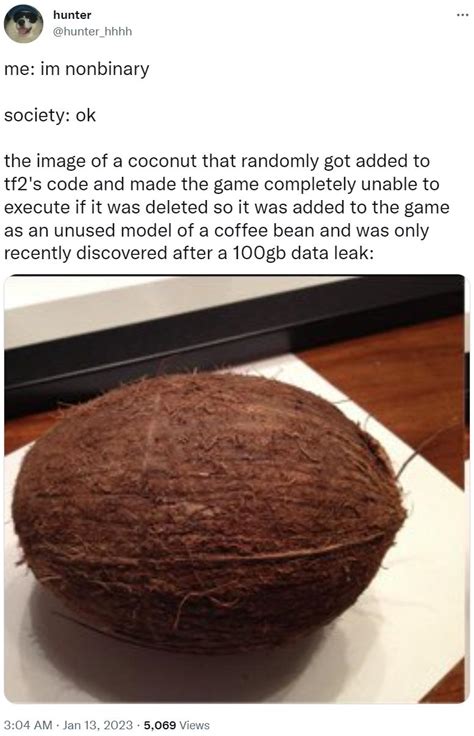 the image of a coconut that randomly got added to .